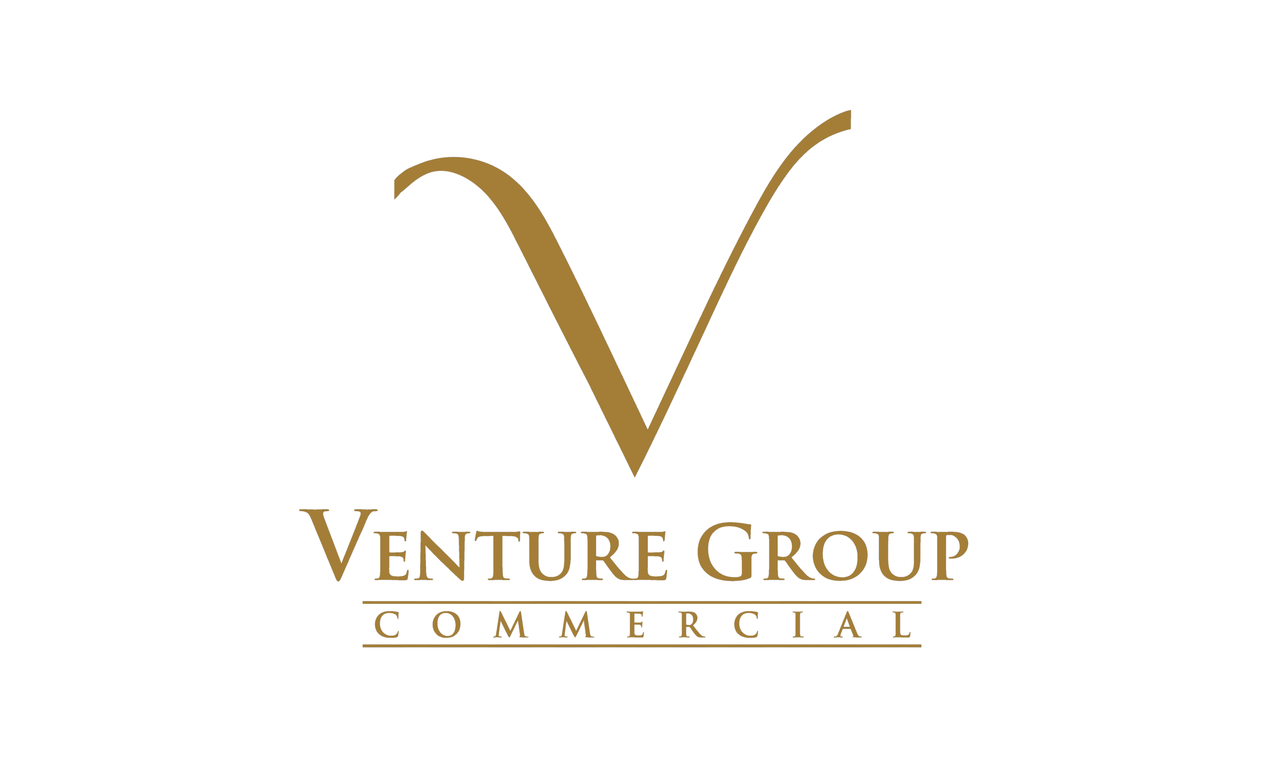 Venture Group Logo